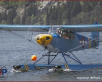 TSR Watermark - 0254